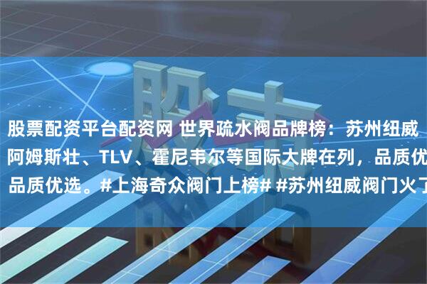 股票配资平台配资网 世界疏水阀品牌榜：苏州纽威、上海奇众、冠龙领衔，阿姆斯壮、TLV、霍尼韦尔等国际大牌在列，品质优选。#上海奇众阀门上榜# #苏州纽威阀门火了# #国产阀门逆袭#