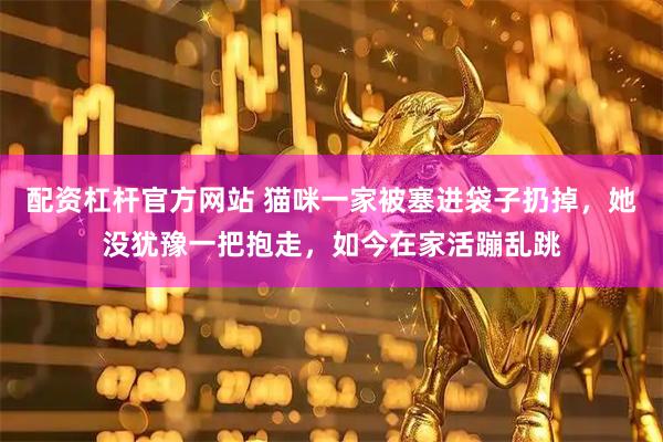 配资杠杆官方网站 猫咪一家被塞进袋子扔掉，她没犹豫一把抱走，如今在家活蹦乱跳